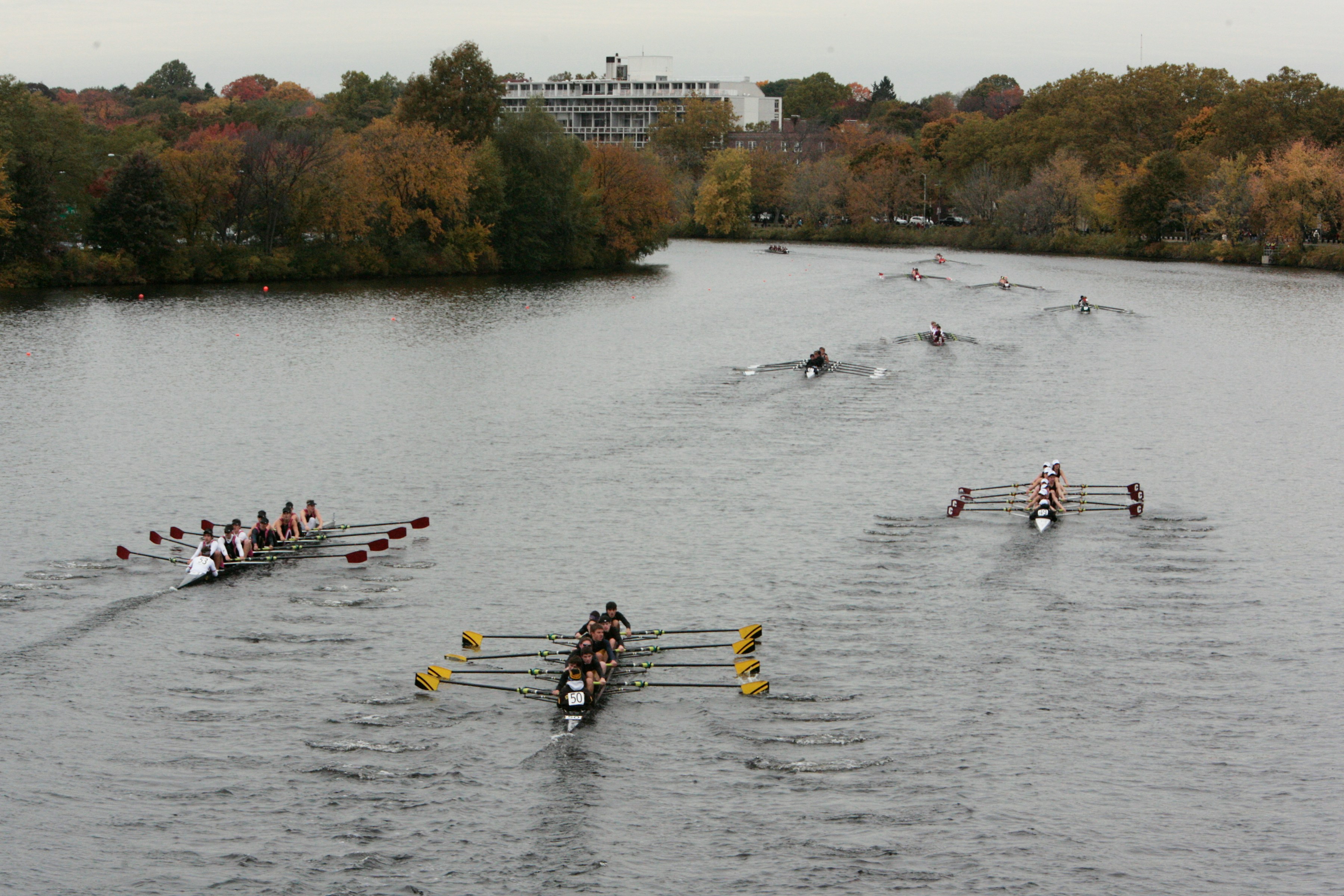 Rowing regatta